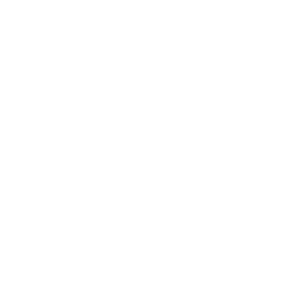 magento maintenance and support
